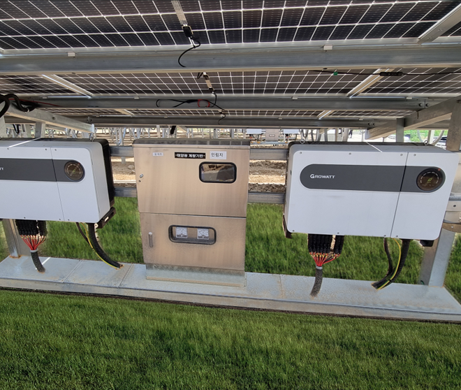 古瑞瓦特，讓貧瘠之地灑滿“綠光”